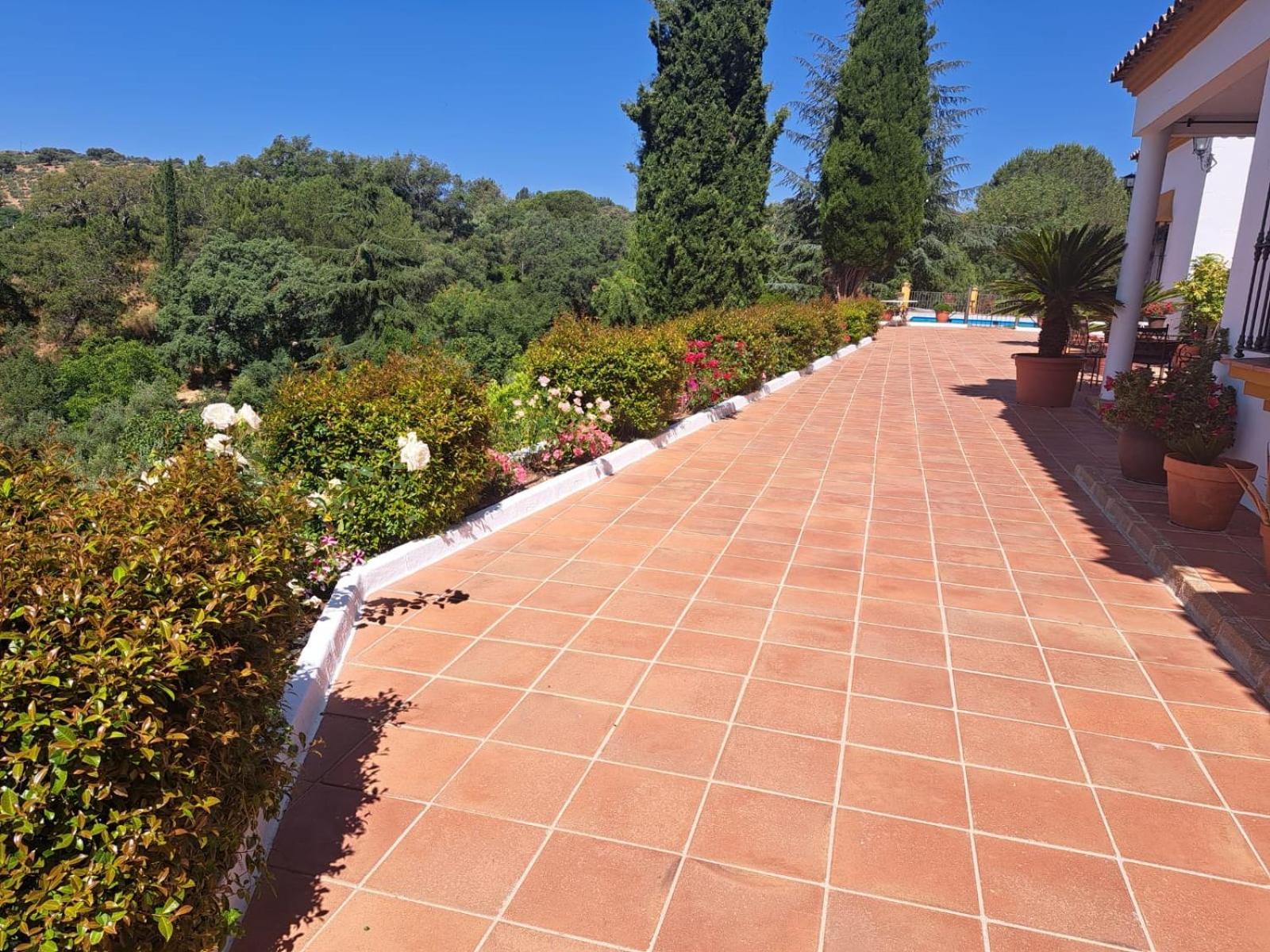 Casa Rural Villa Manuela Cazalla de la Sierra Exterior photo